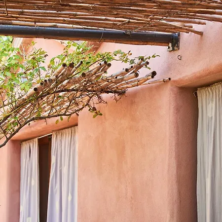 La Luna Nell'orto-casa Ecologica E Agricoltura Biodinamica Barchi